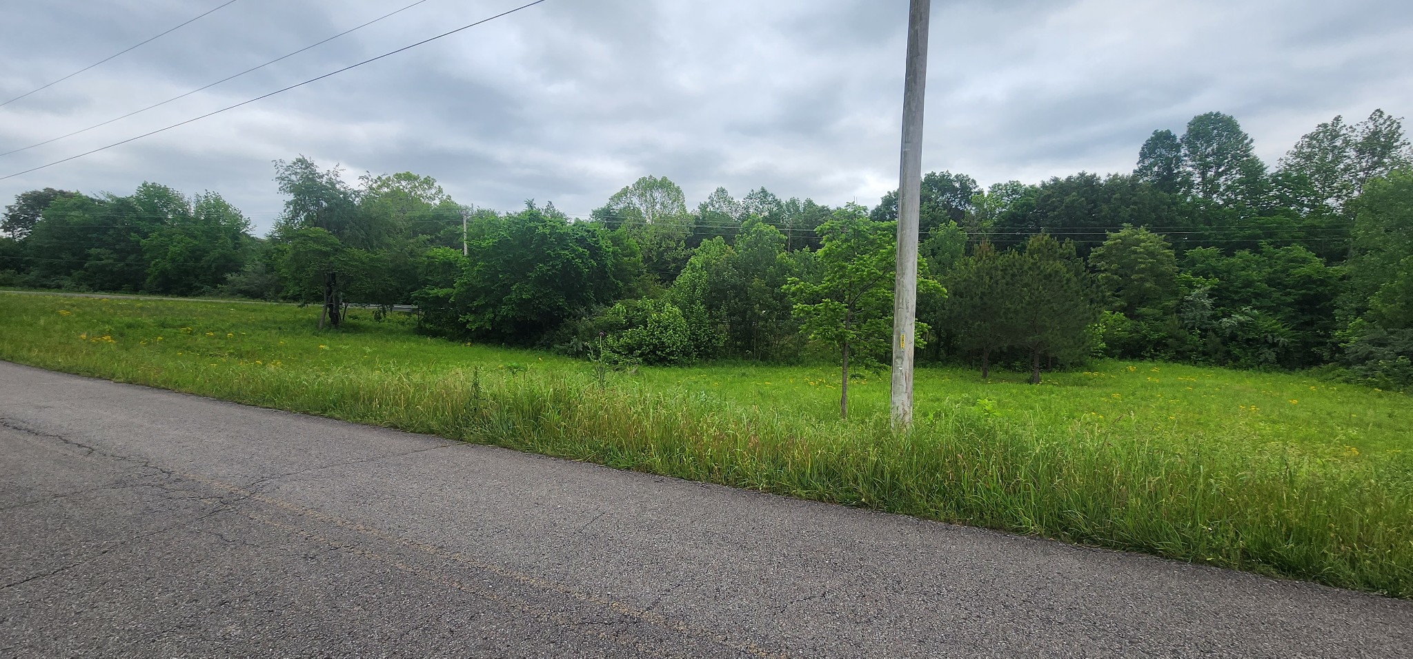 3147 Old New Cut Road Springfield, TN 37172 - Photo 10 of 26 a view of a garden with mountains
