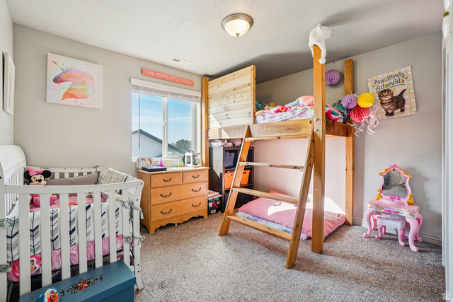 203 North 1900th Street West Mapleton, UT 84664 - Photo 21 of 48 Bright room featuring a multi-pane window, neutral carpet flooring, and a flush mount ceiling light fixture