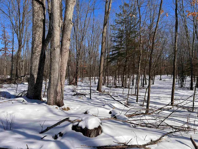 $34,900 | Rhett Lane, Unit 14, Wausaukee, WI 54177