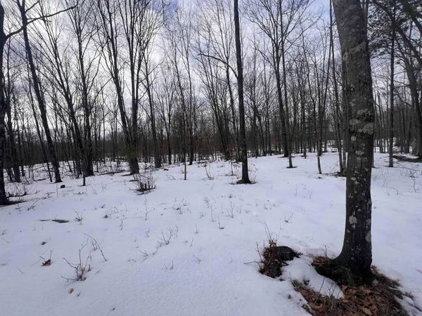 $32,900 | Rhett Lane, Unit 14, Wausaukee, WI 54177