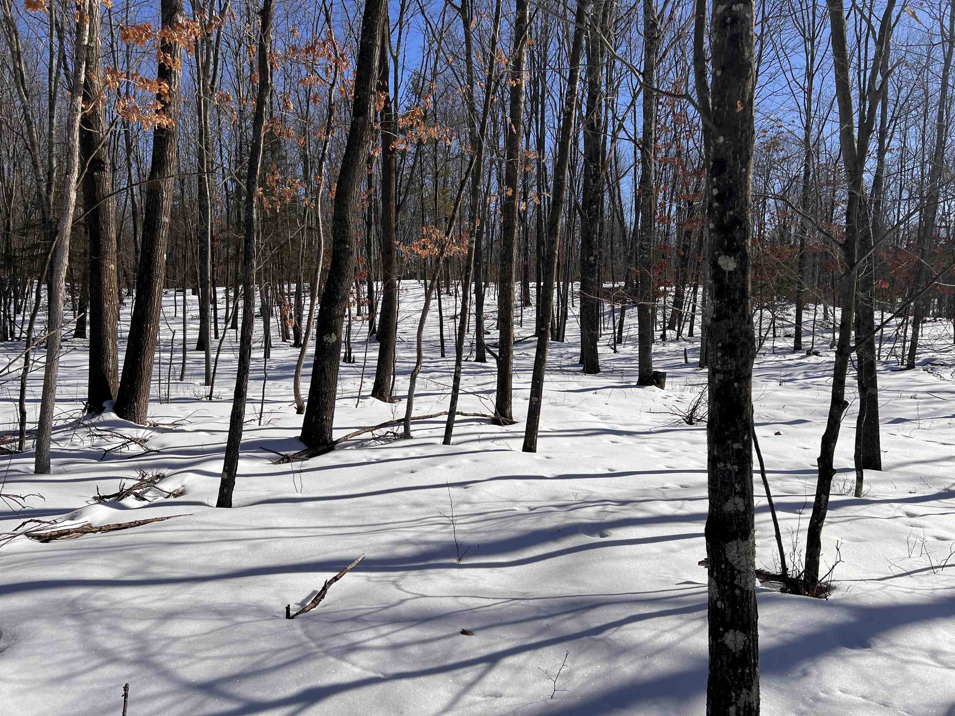 Rhett Lane, Unit 14 Wausaukee, WI 54177 - Photo 3 of 4