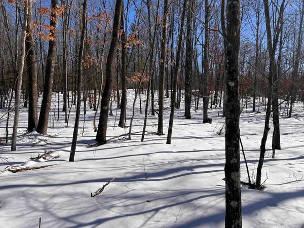 $32,900 | Rhett Lane, Unit 14, Wausaukee, WI 54177