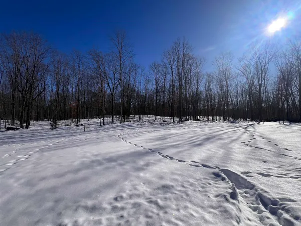 $32,900 | Rhett Lane, Unit 14, Wausaukee, WI 54177