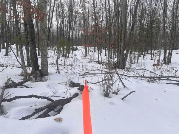 $32,900 | Rhett Lane, Unit 14, Wausaukee, WI 54177