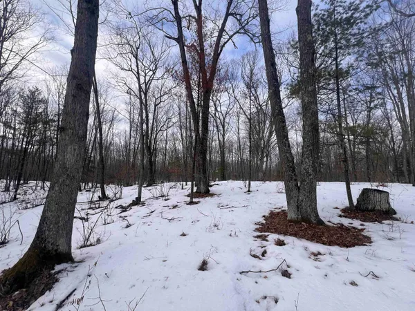 $32,900 | Rhett Lane, Unit 14, Wausaukee, WI 54177