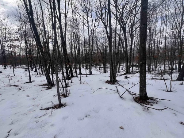 $32,900 | Rhett Lane, Unit 14, Wausaukee, WI 54177