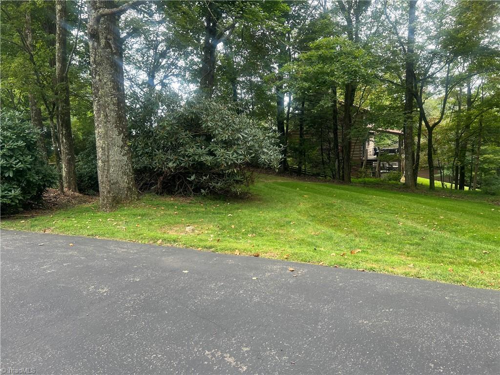 746 Cascade Trail Fancy Gap, VA 24328 - Photo 9 of 36