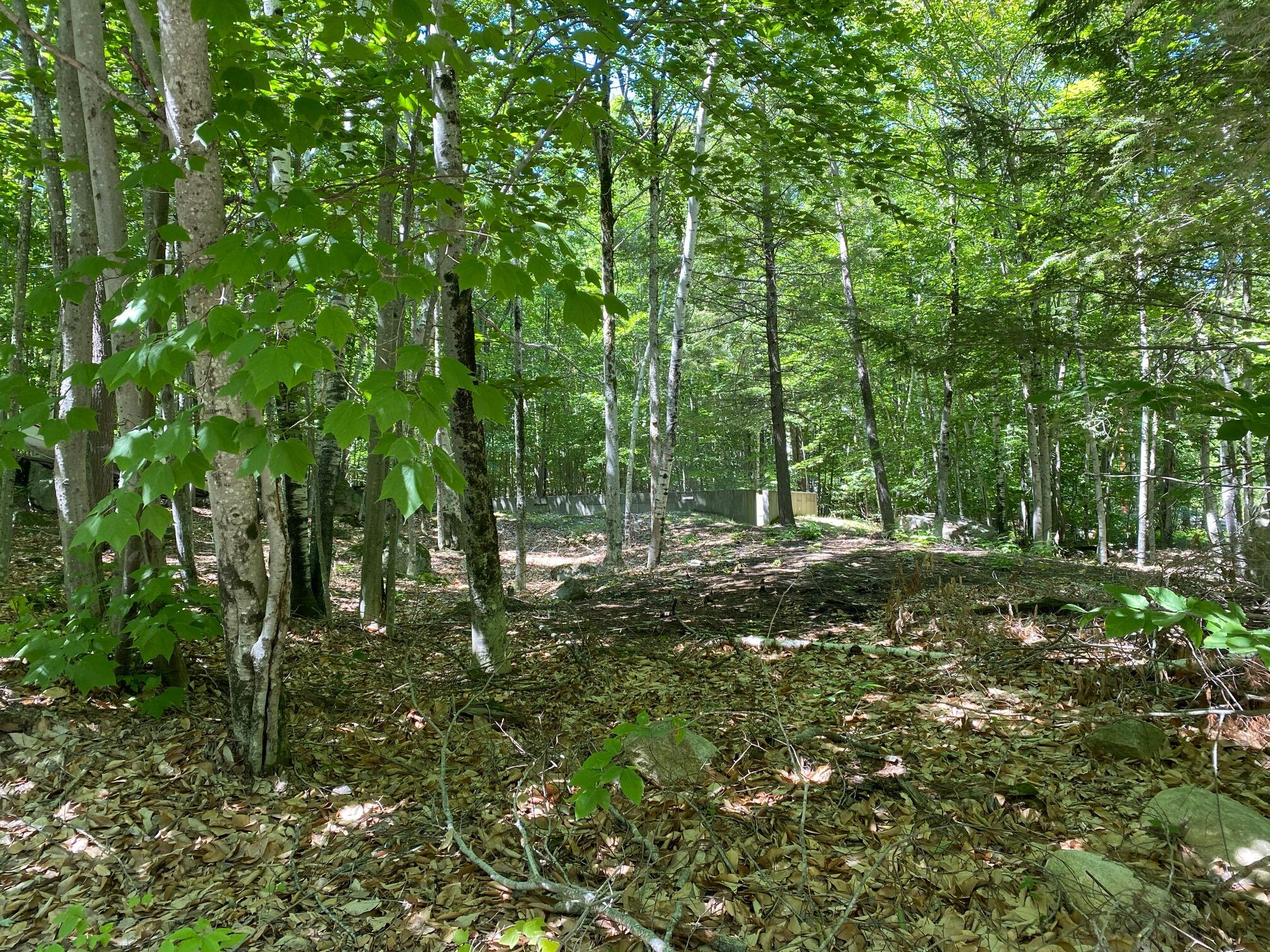 1 Leap View Circle Standish, ME 04084 - Photo 4 of 5 IMG_7854