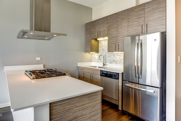 1222 West Madison Street, Unit 501 Chicago, IL 60607 - Photo 8 of 24 a kitchen with a stove a refrigerator and a window
