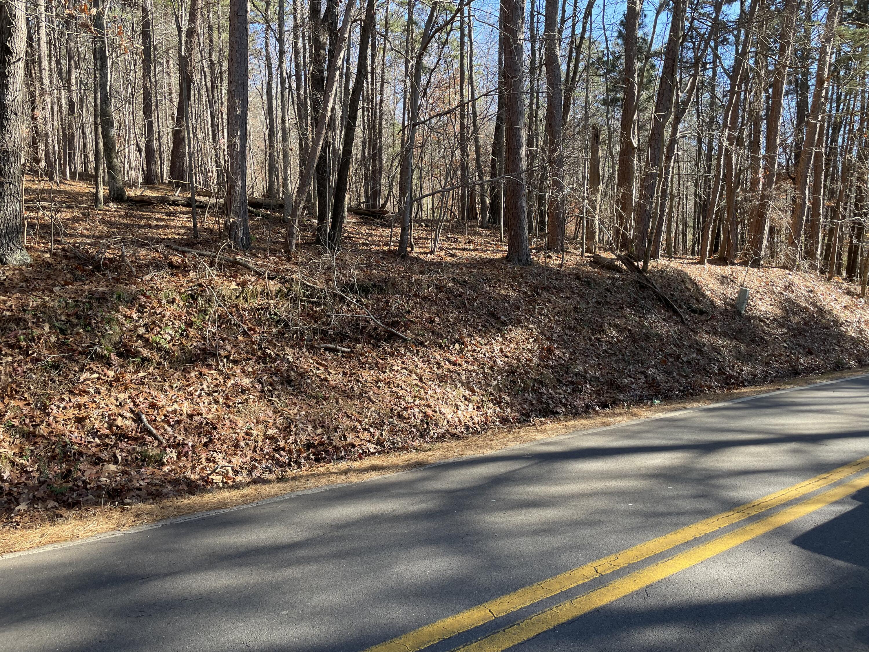 0 Butler Dairy Road Summerville, GA 30747 - Photo 1 of 10 6A73E638-1E8E-4B7E-9669-EF1F6A8D6072
