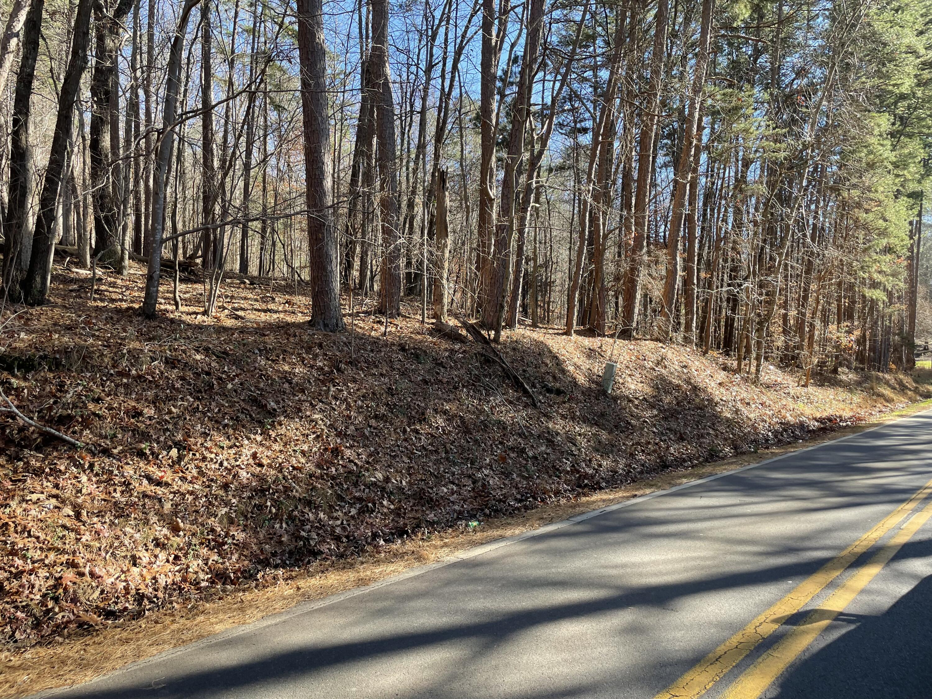 0 Butler Dairy Road Summerville, GA 30747 - Photo 3 of 10 1A4651CC-F050-4BD7-8B46-C3A1D91F1BBC