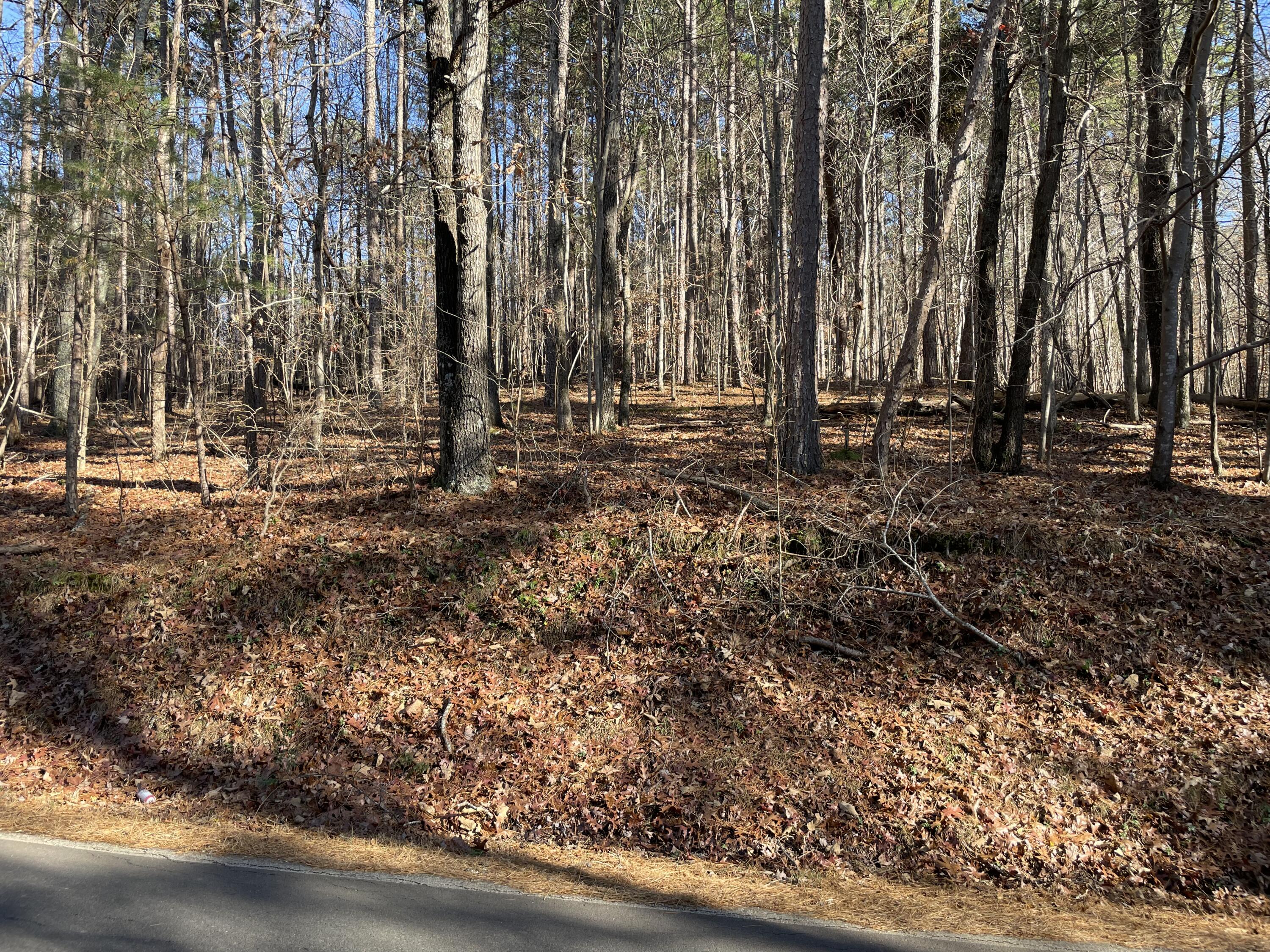 0 Butler Dairy Road Summerville, GA 30747 - Photo 4 of 10 067D0841-8C2C-4A21-BE4B-A23AEBA89F96