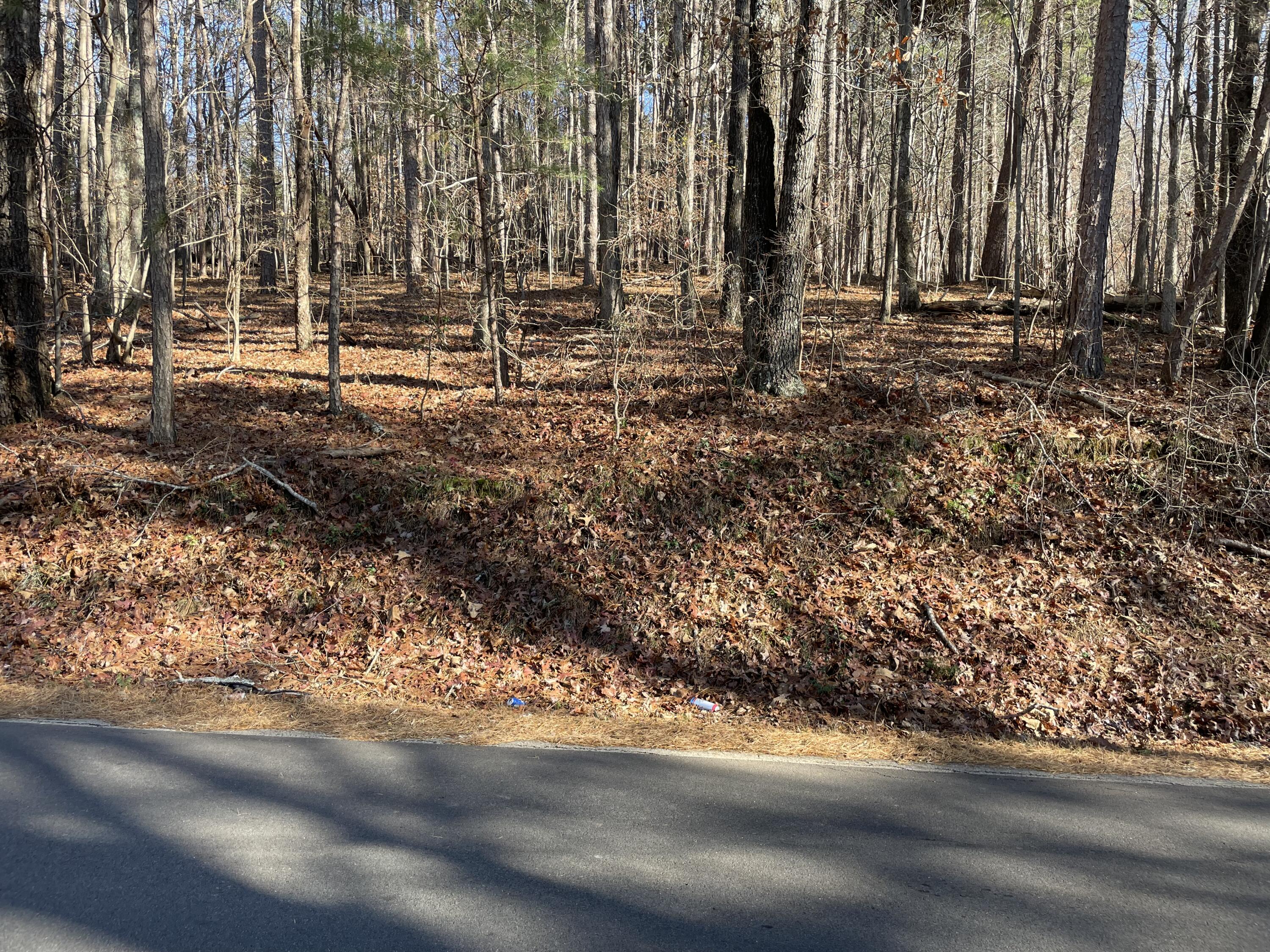 0 Butler Dairy Road Summerville, GA 30747 - Photo 10 of 10 8AF940EC-B852-41D5-92FD-65F5FC04BCD3