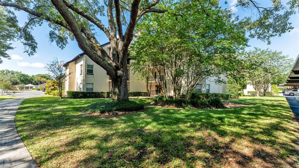 2025 Sylvester Road, Unit N305 Lakeland, FL 33803 - Photo 34 of 34 a view of a yard with plants and trees