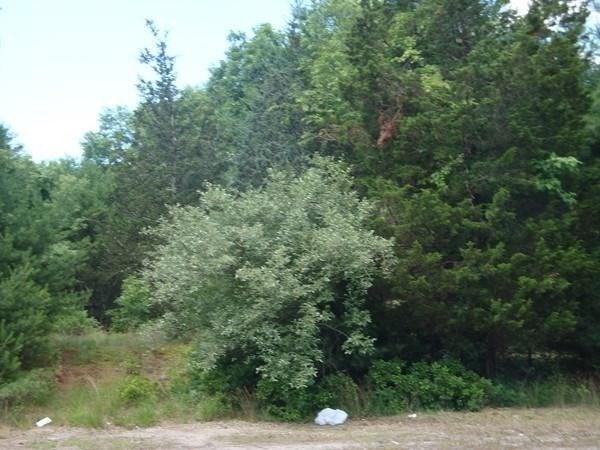 386 Wareham Street Middleboro, MA 02346 - Photo 11 of 15