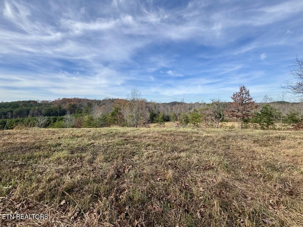 2 Three Point Road Vonore, TN 37885 - Photo 7 of 13 Gallery Image 7