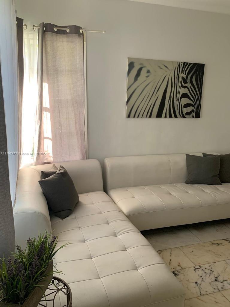 Flamingo-Lummus Miami Beach, FL 33139 - Photo 4 of 8 a living room with a couch and a potted plant