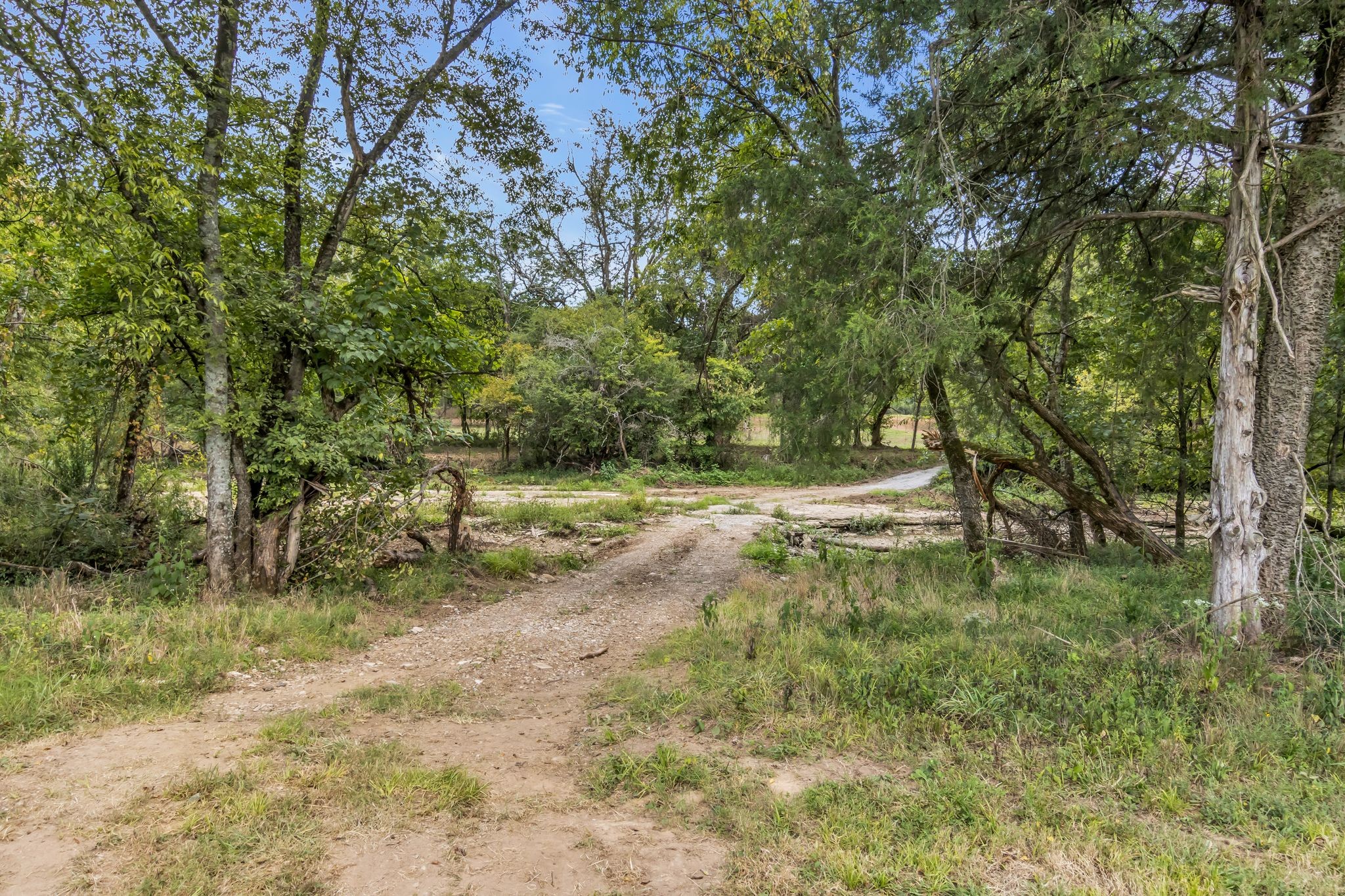 1613 Rucker Road Christiana, TN 37037 - Photo 37 of 53 Gallery Image 37