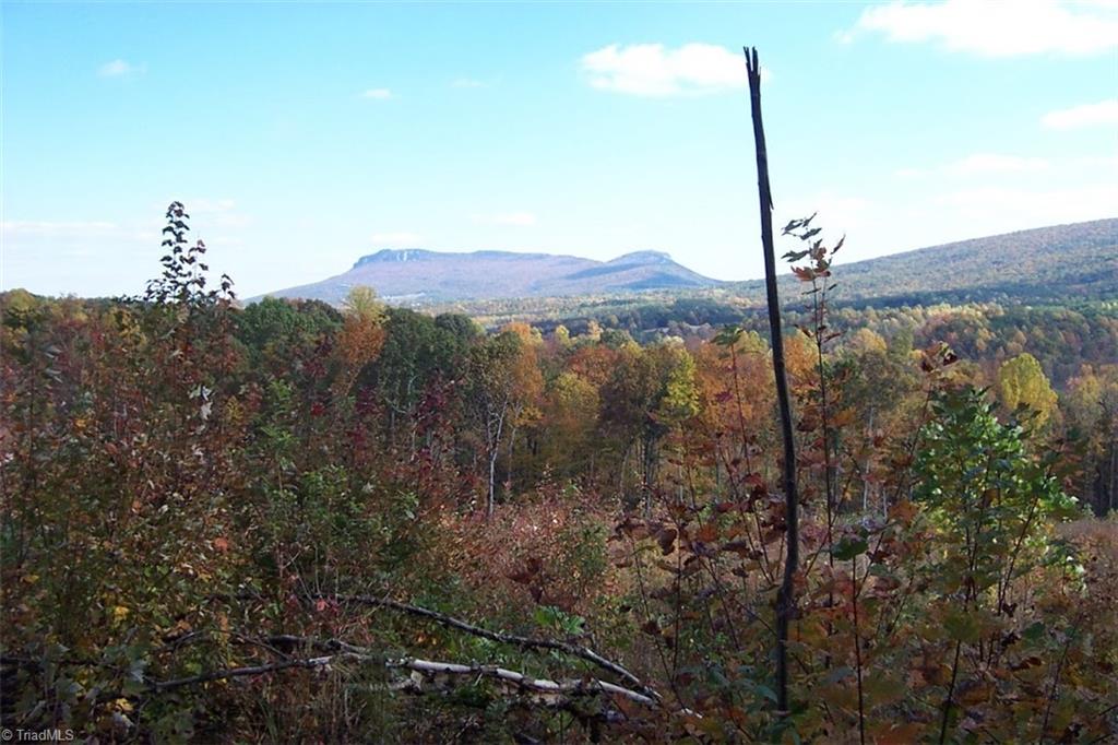 10.3 Thore Road, Unit 4 Pinnacle, NC 27043 - Photo 1 of 4 View Hanging Rock