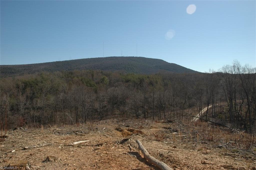 10.3 Thore Road, Unit 4 Pinnacle, NC 27043 - Photo 2 of 4 View Sauratown