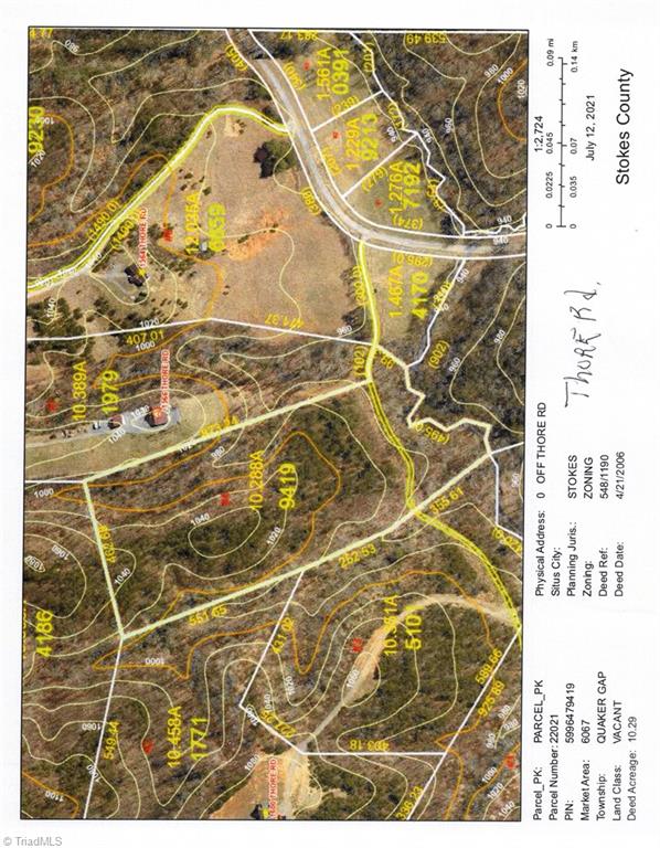 10.3 Thore Road, Unit 4 Pinnacle, NC 27043 - Photo 3 of 4 County aerial