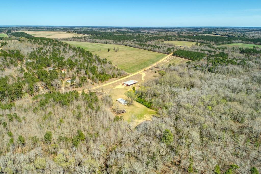 509 Shadow Lane Road Wagener, SC 29164 - Photo 5 of 9