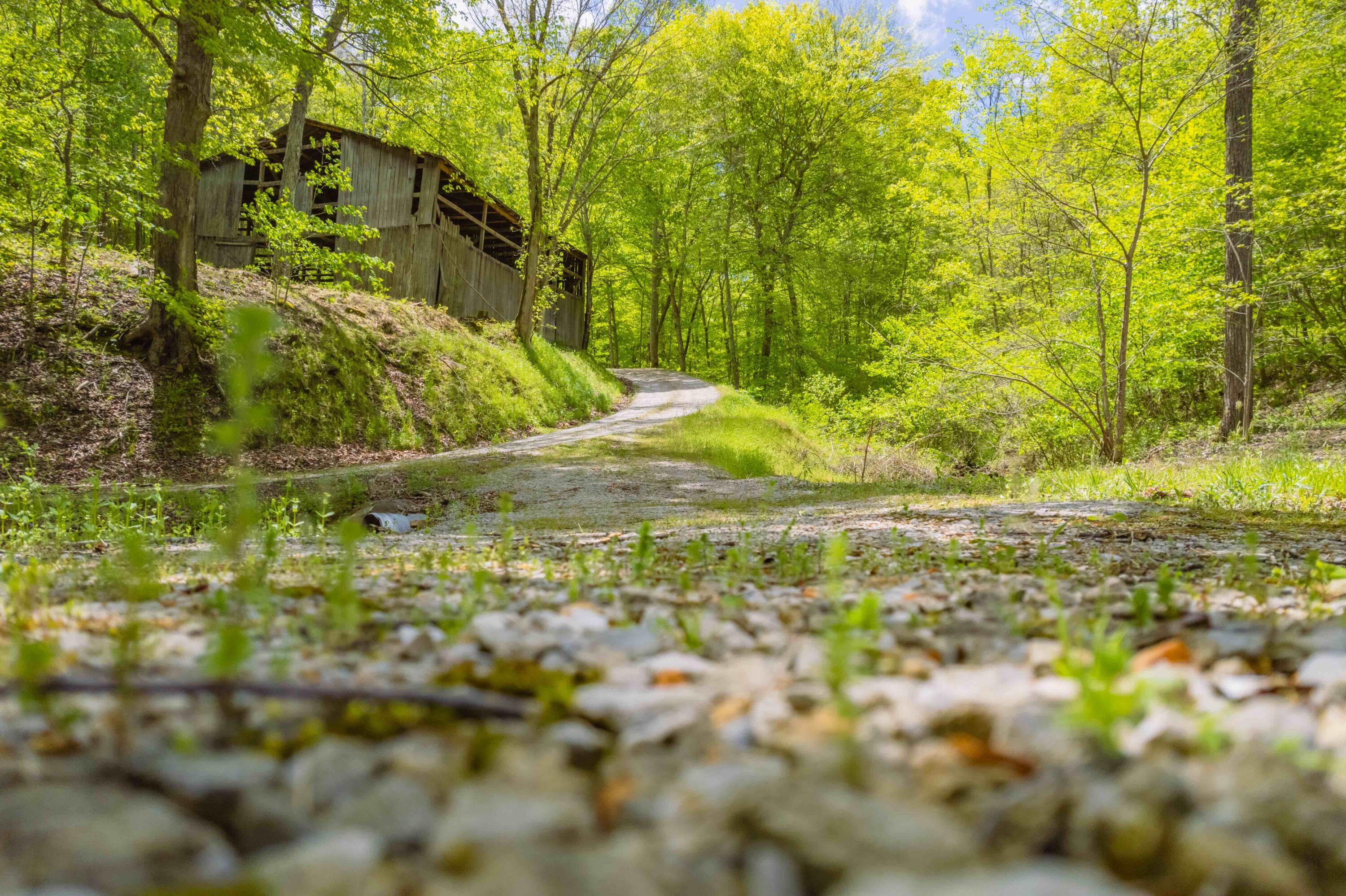 395 Cedar Point Ridge Road McKee, KY 40447 - Photo 8 of 31 DJI_002661