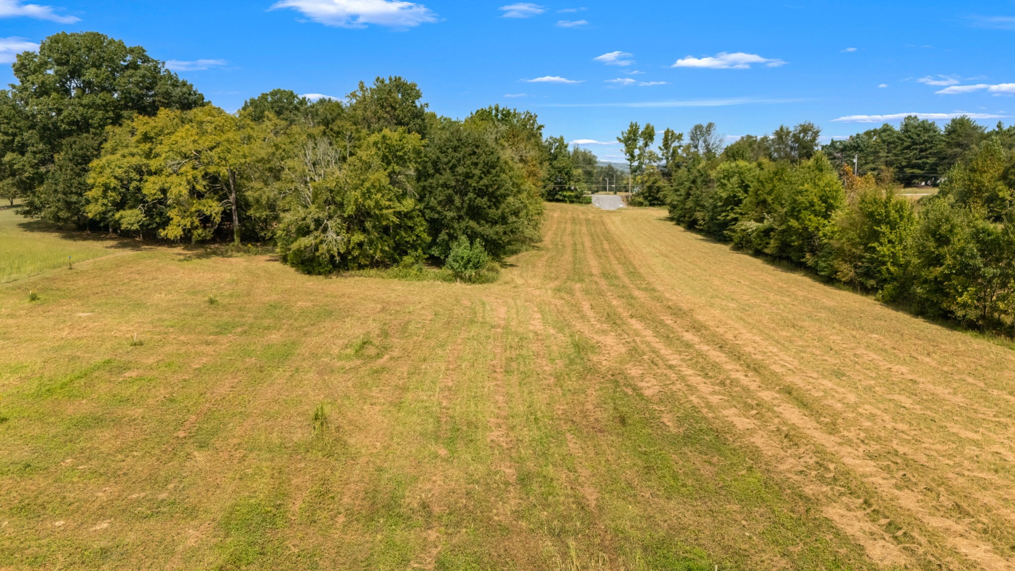 3 Osburn Road Arrington, TN 37014 - Photo 5 of 30 Gallery Image 5
