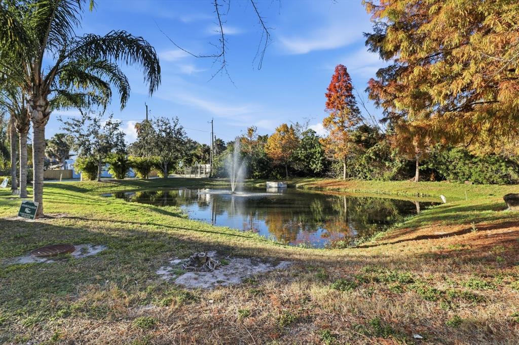 5041 Royal Palms Way, Unit 202 New Port Richey, FL 34652 - Photo 34 of 41 a view of a lake with a yard and palm trees