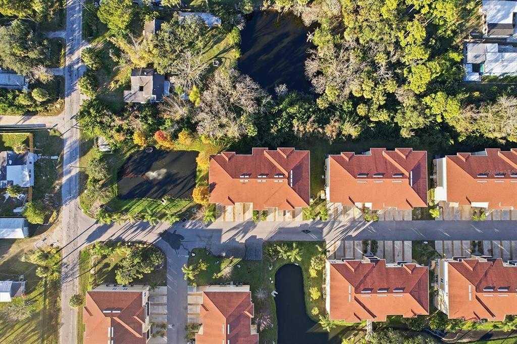 5041 Royal Palms Way, Unit 202 New Port Richey, FL 34652 - Photo 37 of 41