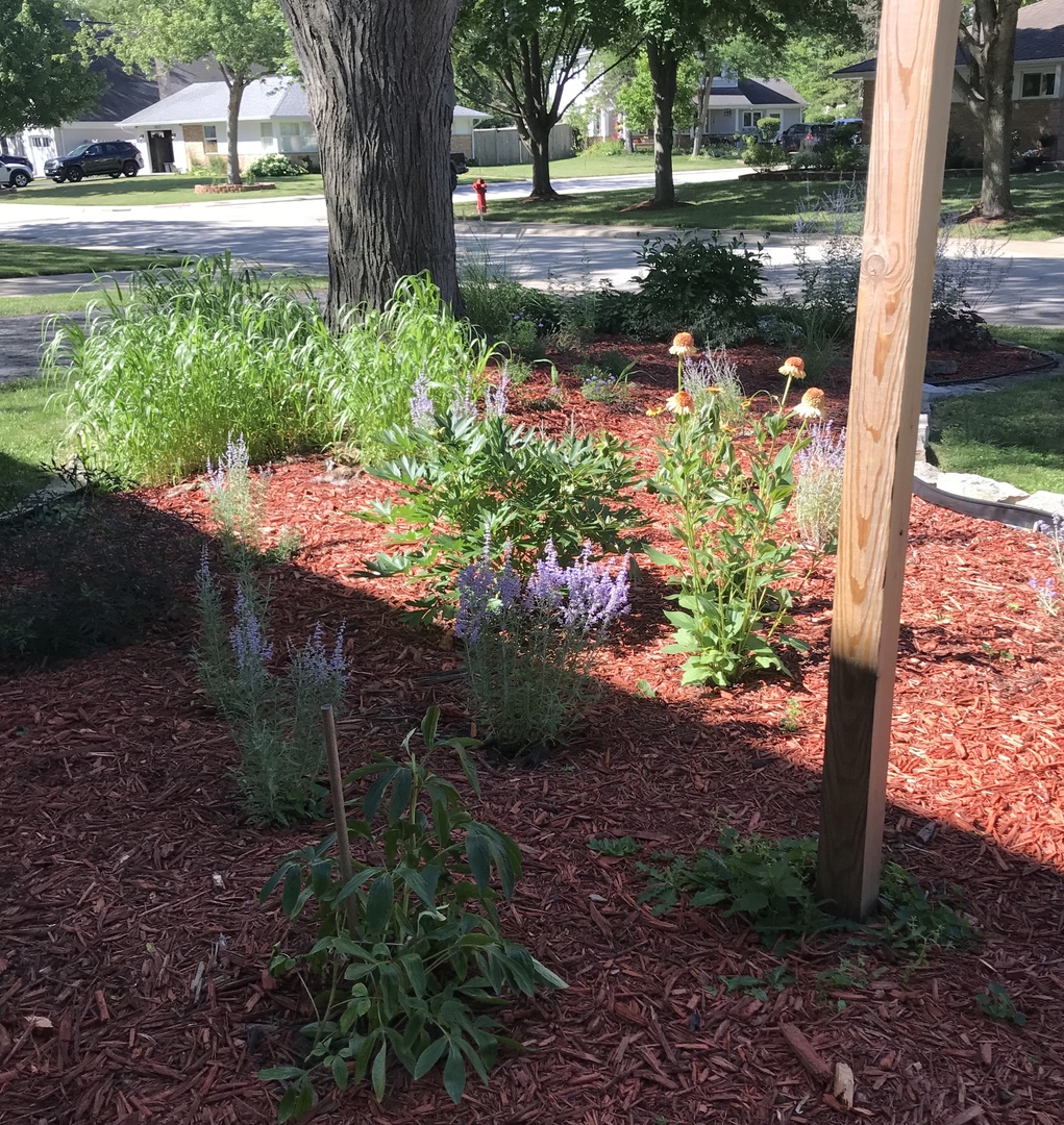1009 Whitfield Road Northbrook, IL 60062 - Photo 3 of 25 a view of a garden with a pathway