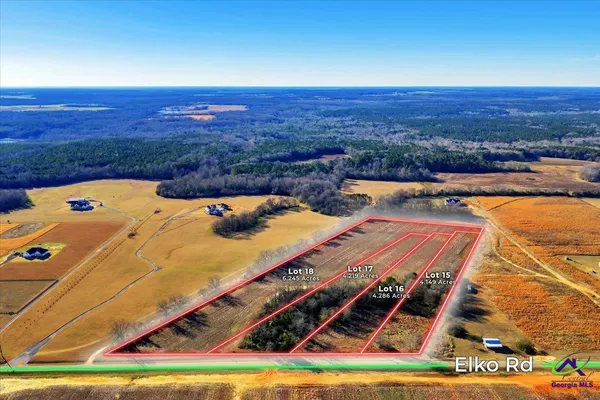 $450,000 | Lot 15 Elko (4.12 /- Acres) Road, Elko, GA 31025
