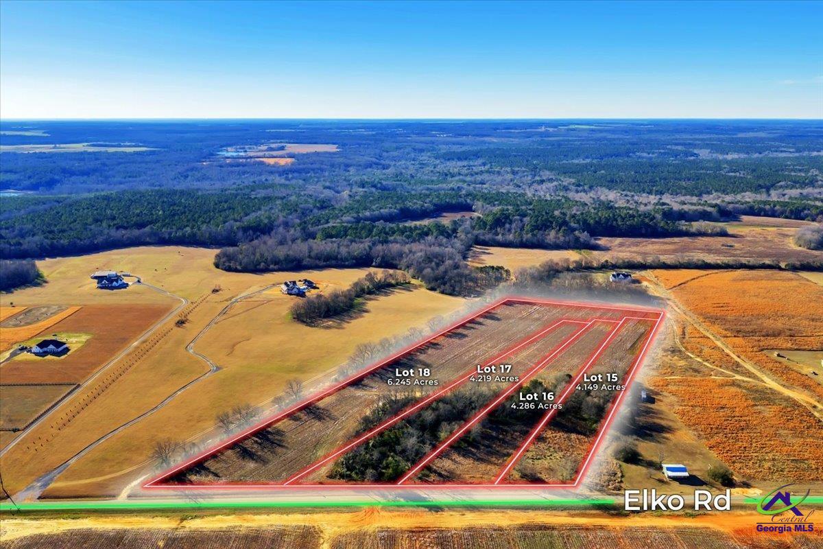 Lot 15 Elko (4.12 /- Acres) Road Elko, GA 31025 - Photo 1 of 5 Gallery Image 1