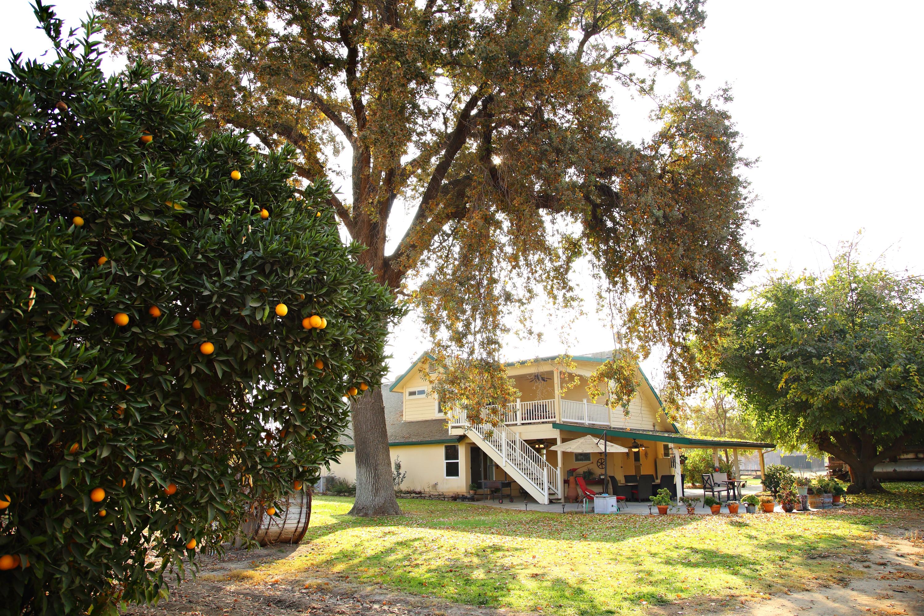 2327 North Anderson Road Exeter, CA 93221 - Photo 44 of 82 0001