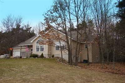 3828 Monroe Road Blanchard, MI 49310 - Photo 1 of 20 Primary Photo