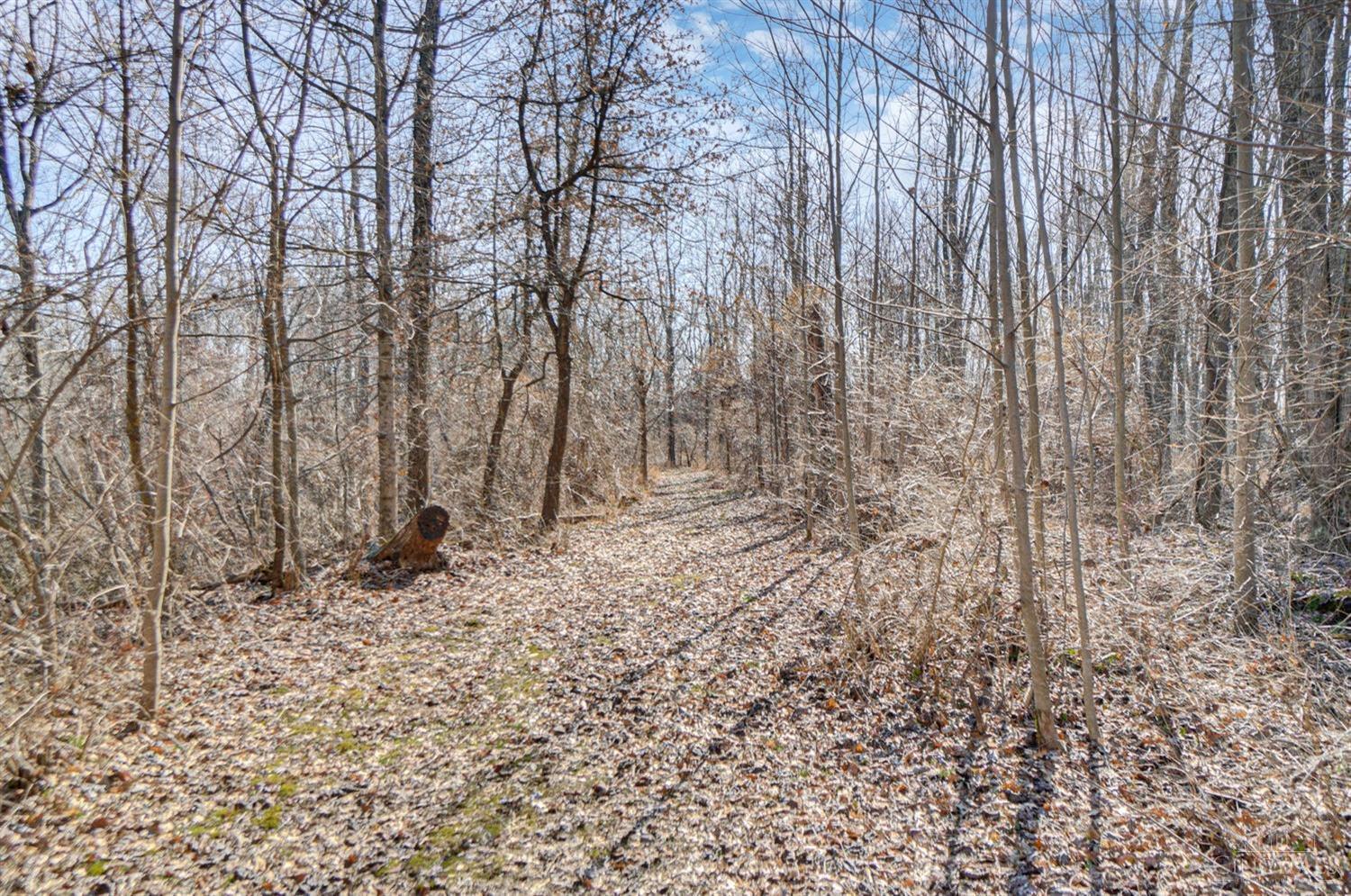 3366 Patterson Road Bethel, OH 45106 - Photo 15 of 49 Gallery Image 15