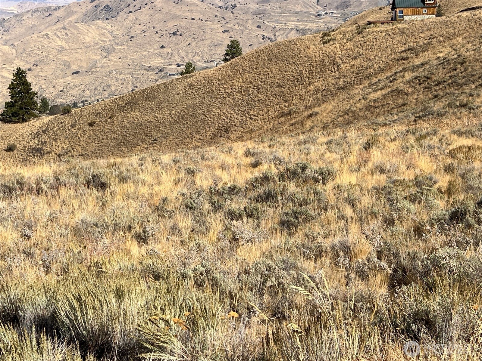 -nna Nna Mountain Spring Road Orondo, WA 98843 - Photo 12 of 15 a view of a dry yard with wooden fence