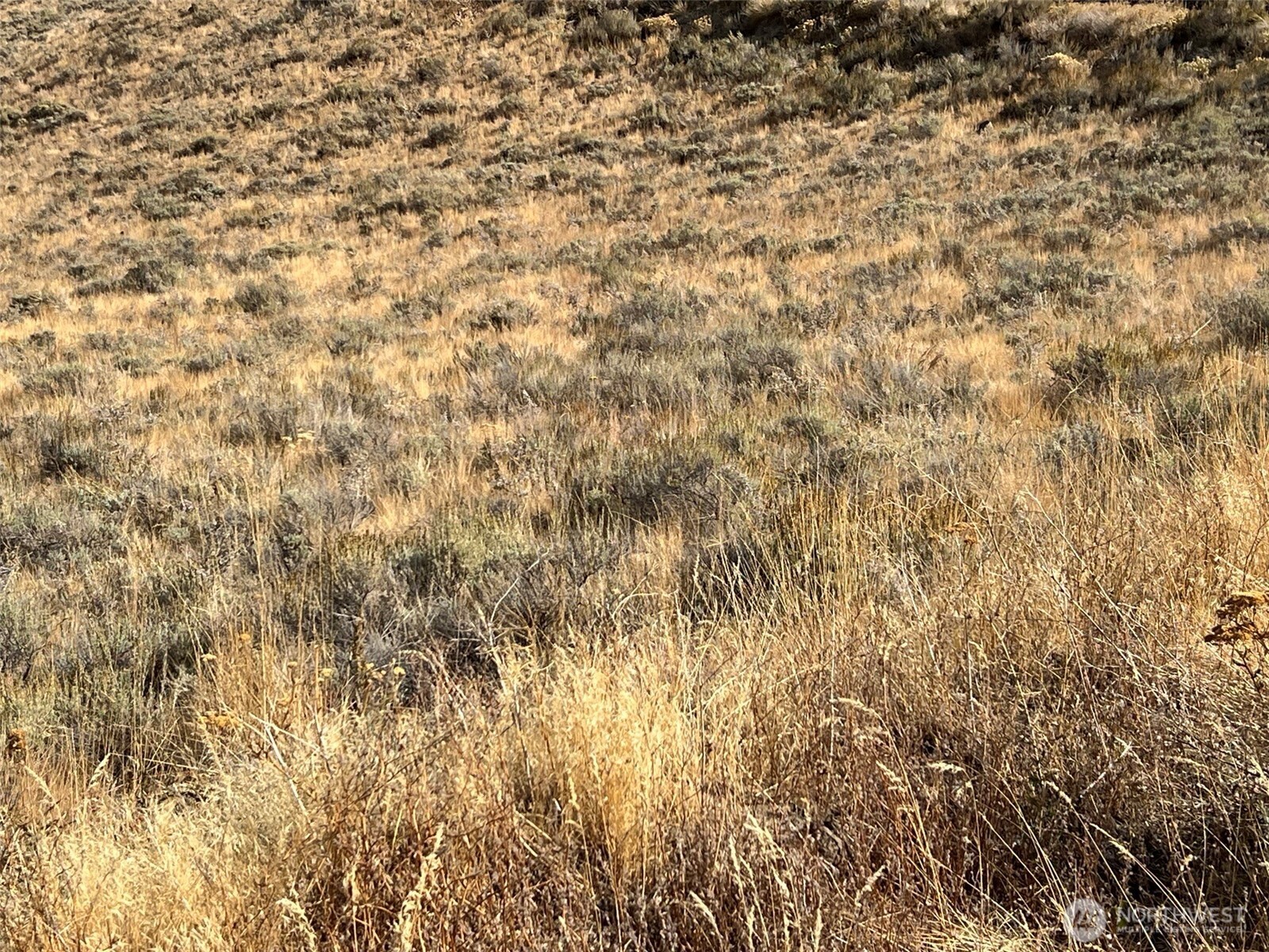 -nna Nna Mountain Spring Road Orondo, WA 98843 - Photo 5 of 15