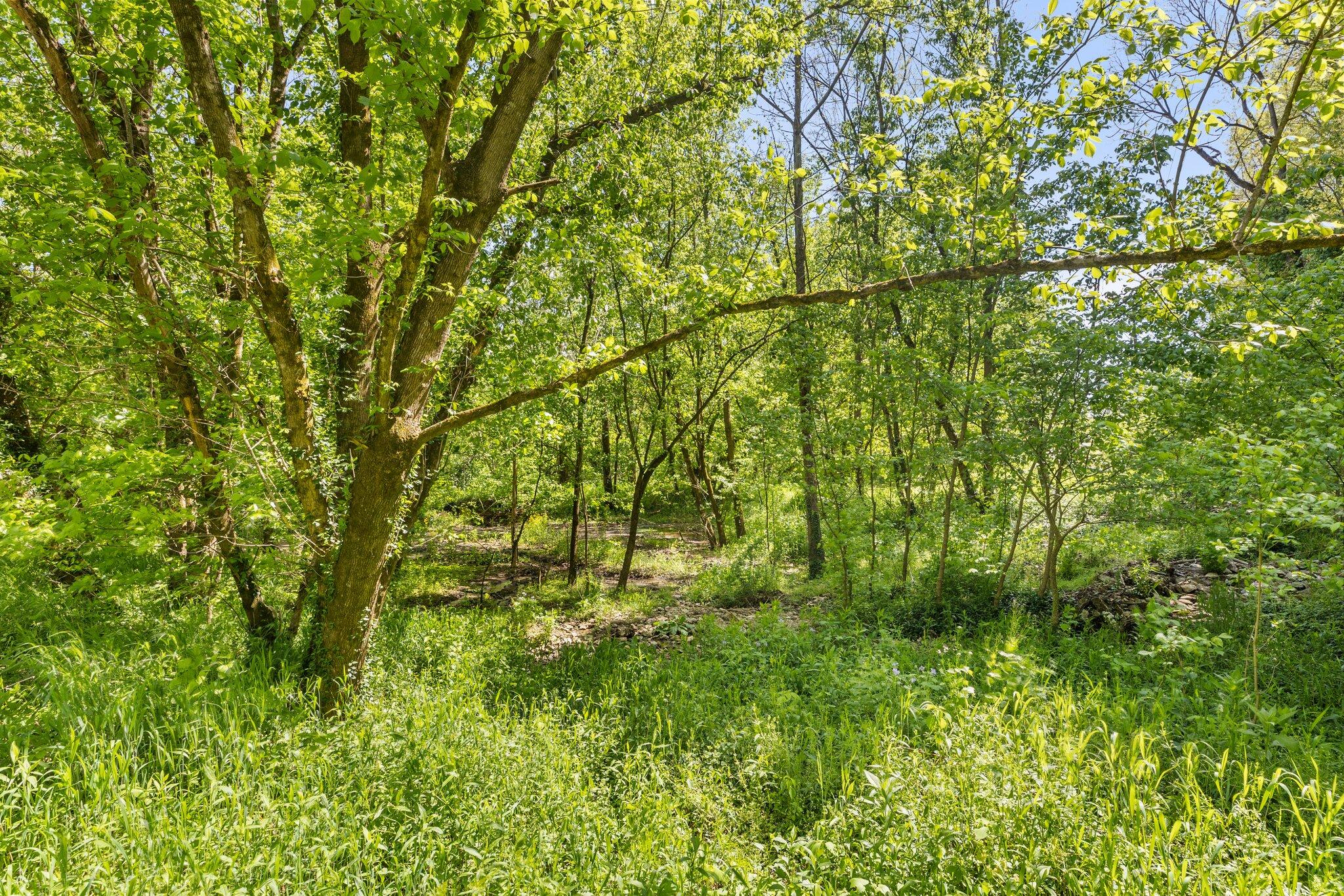 296 River Valley Road Frankfort, KY 40601 - Photo 24 of 36 23-web-or-mls-0J2A5524