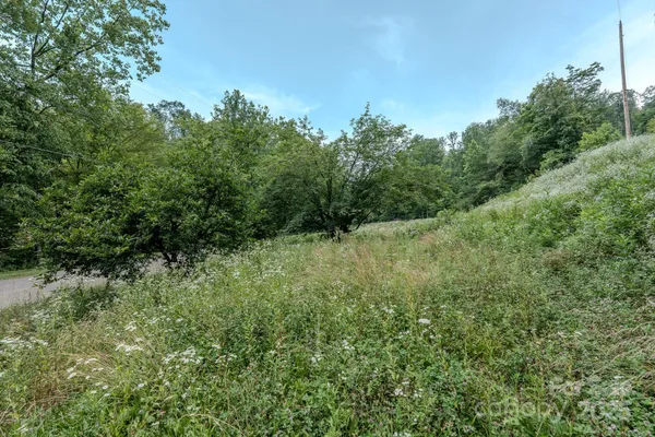 a view of a green field with lots of bushes