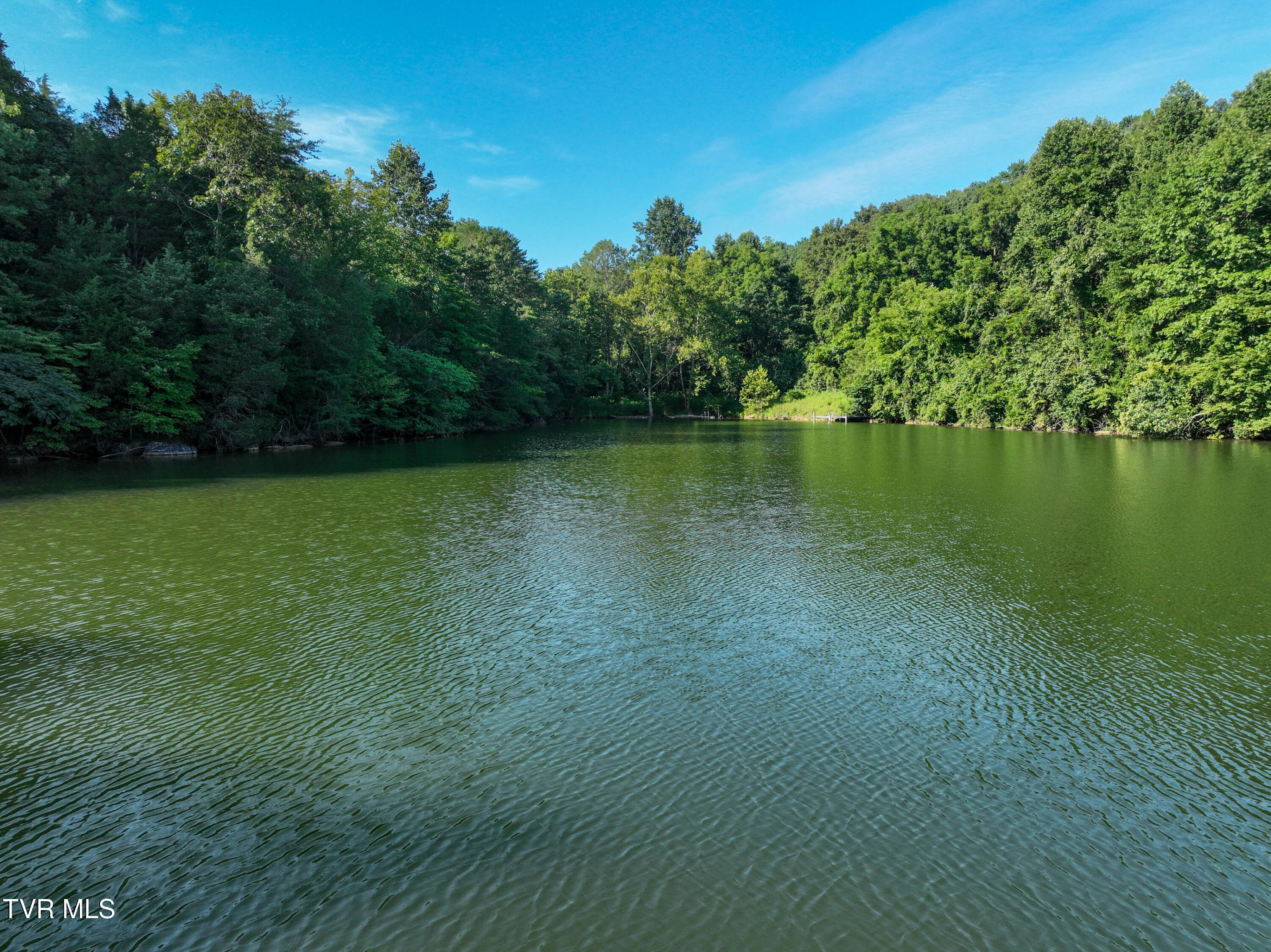 412 Haw Ridge East Piney Flats, TN 37686 - Photo 4 of 36 Lake Dr Drone VAUGHN-8