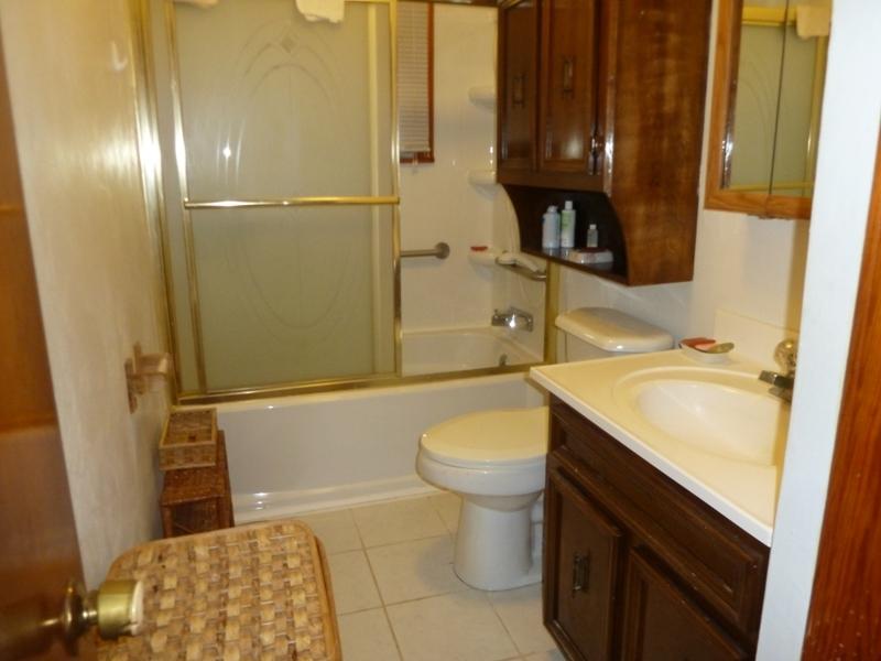 2275 Iron Ridge Road Rocky Mount, VA 24151 - Photo 8 of 16 a bathroom with a sink a toilet and shower