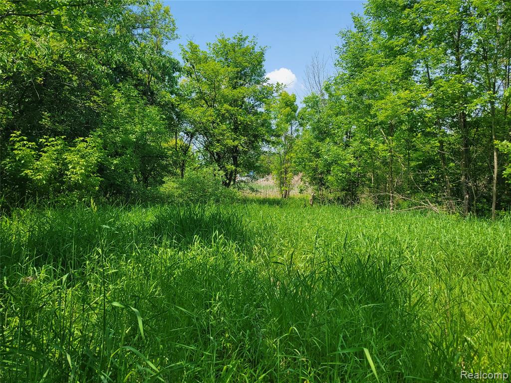 32550 26 Mile Road Chesterfield, MI 48051 - Photo 4 of 5 Gallery Image 4