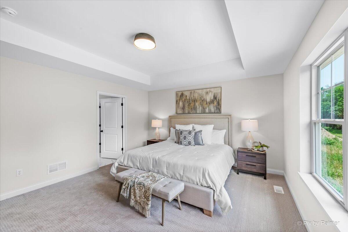 216 Linden Lane Delavan, WI 53115 - Photo 11 of 13 Tray Ceilings