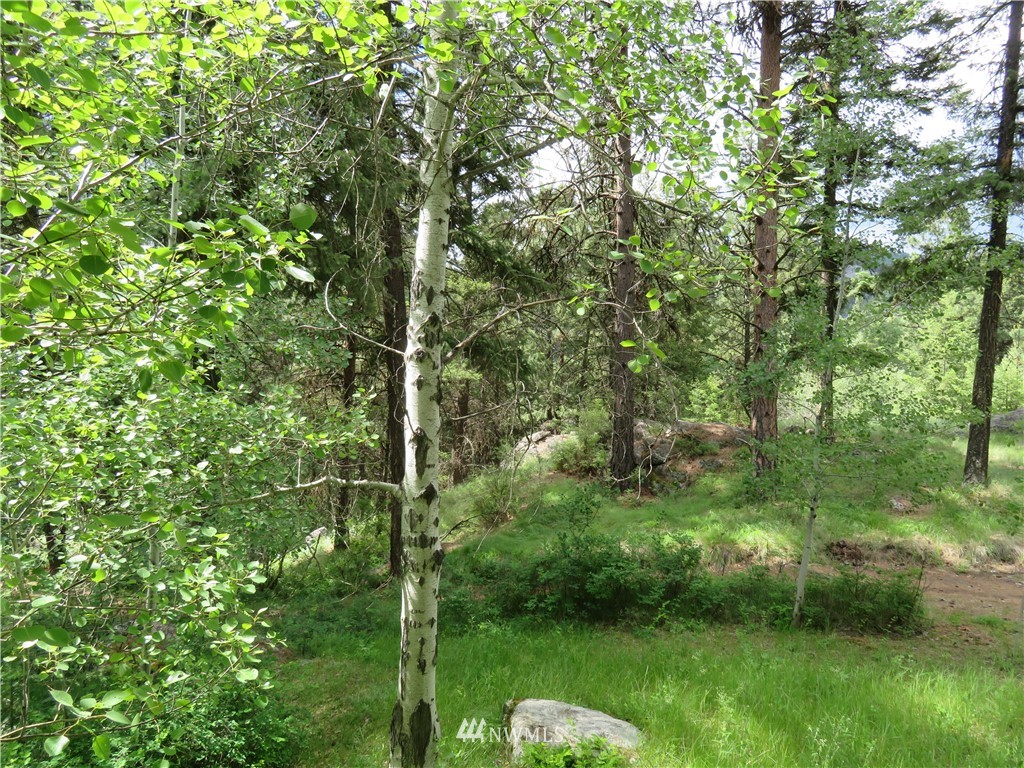 0 Lot 9 Earl Road Curlew, WA 99118 - Photo 14 of 19 Gallery Image 14