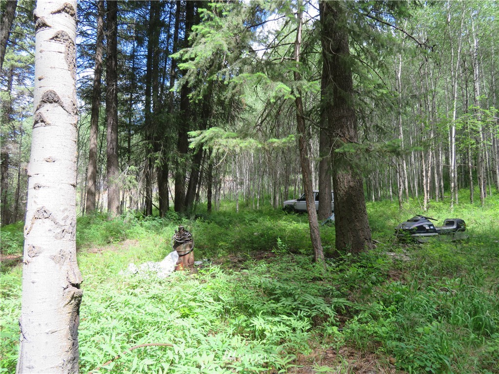 0 Lot 9 Earl Road Curlew, WA 99118 - Photo 19 of 19 Gallery Image 19