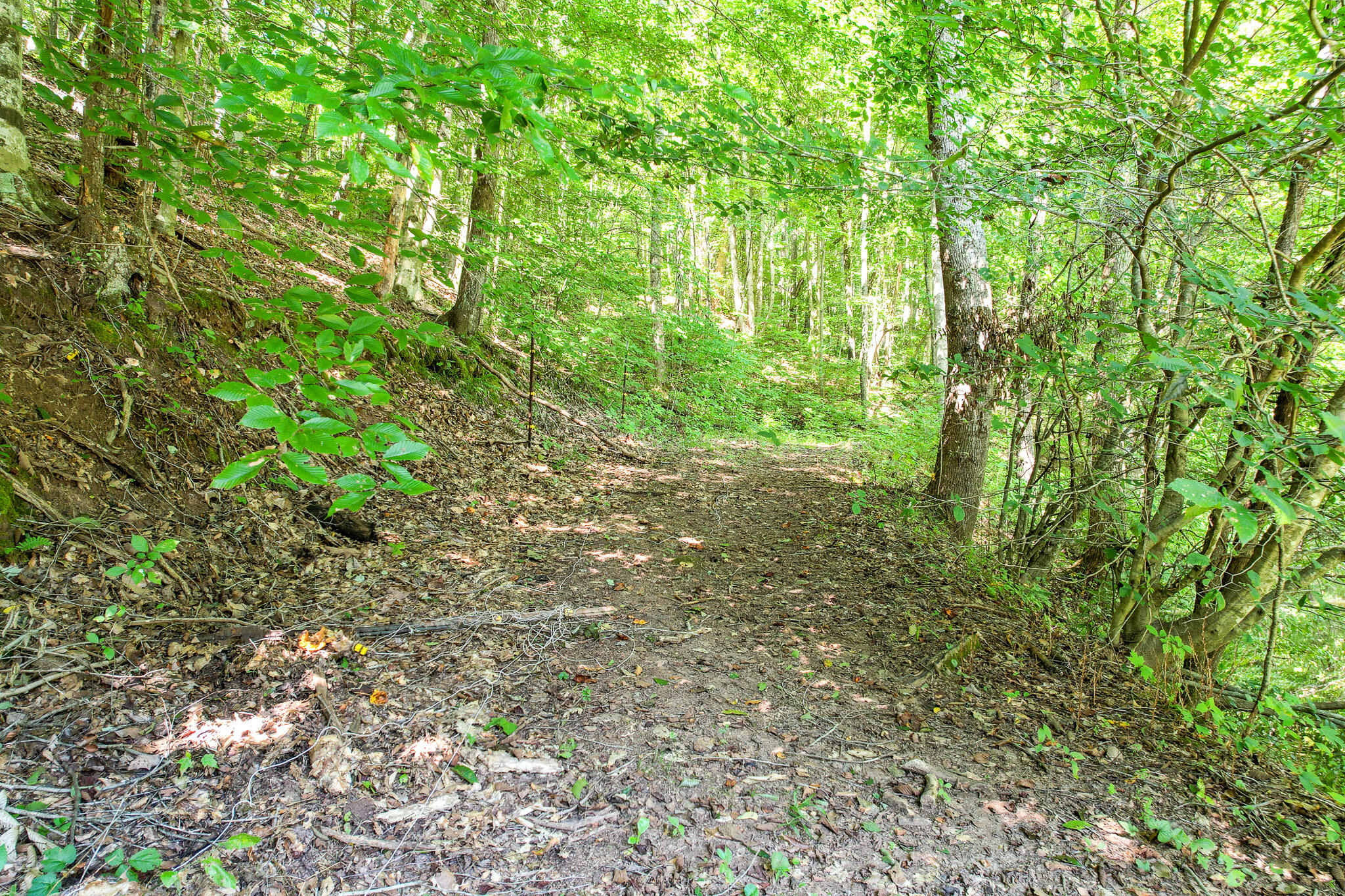 175 Simpson Road Bulls Gap, TN 37711 - Photo 48 of 51 48
