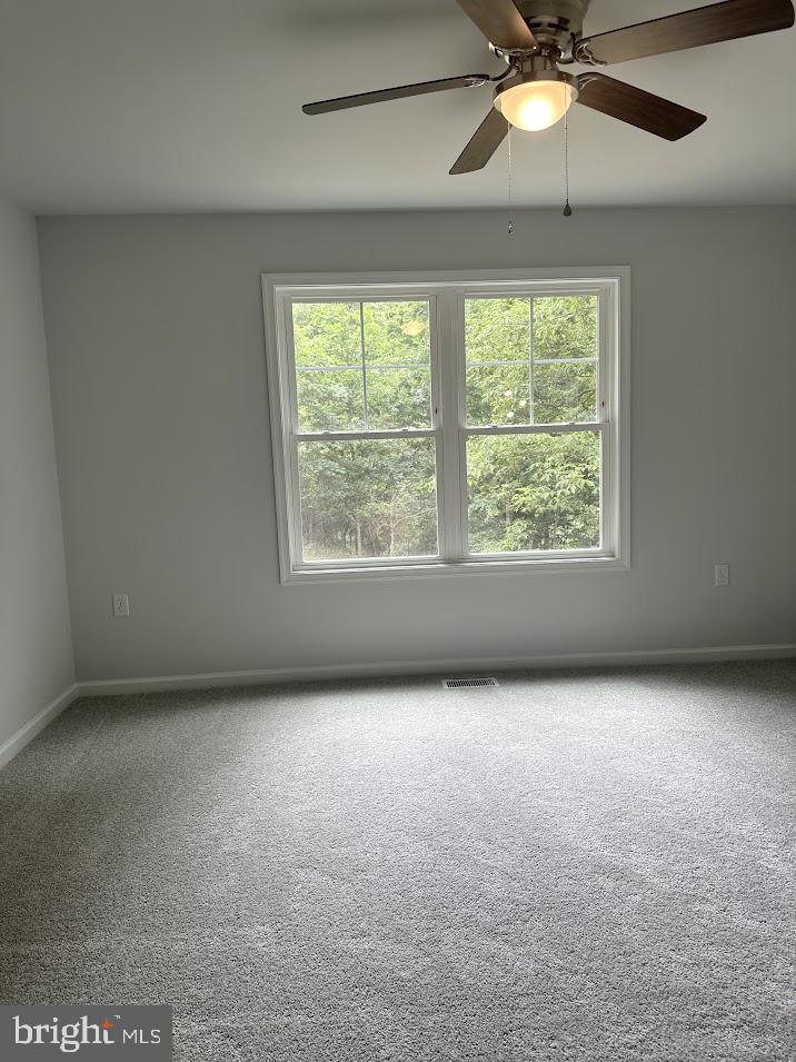 99 Woodbrier Road Berkeley Springs, WV 25411 - Photo 29 of 51 Gallery Image 29