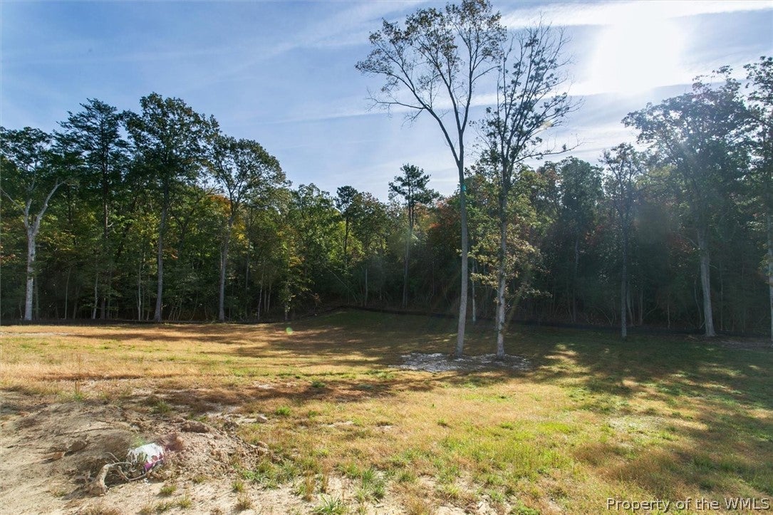 9219 Croaker Road Williamsburg, VA 23188 - Photo 36 of 47 Gallery Image 36