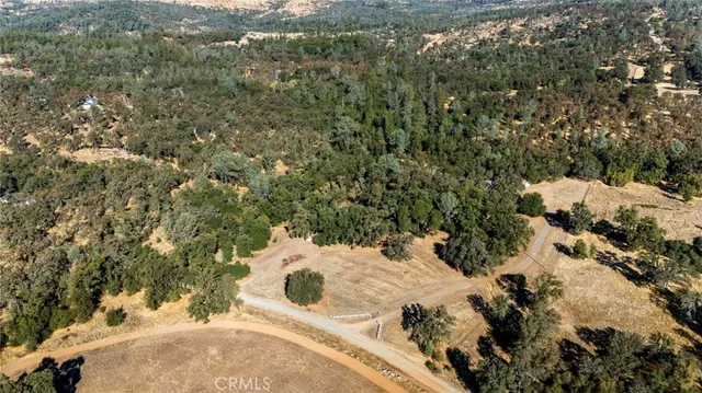a view of a tree in a yard